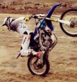 /album/fotogaleria-fotos/a10358140-1485118848393722-1674251585544232560-n-jpg/