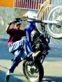 /album/fotogaleria-fotos/a10614114-1485119305060343-712194236546810558-n-jpg/